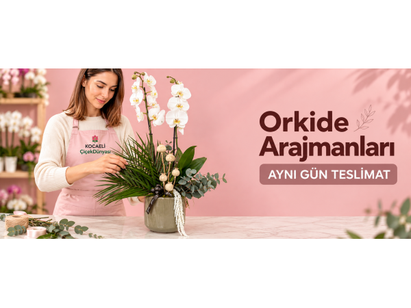 Orkideler