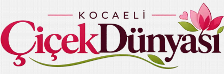 Kocaeli Çiçek Dünyası Kocaeli Çiçek Dünyası
