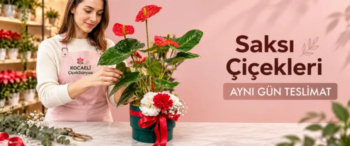 Saksı Çiçekleri
