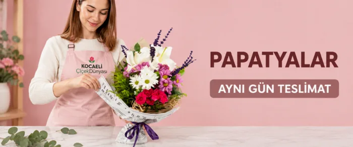 Papatya & Gerbera